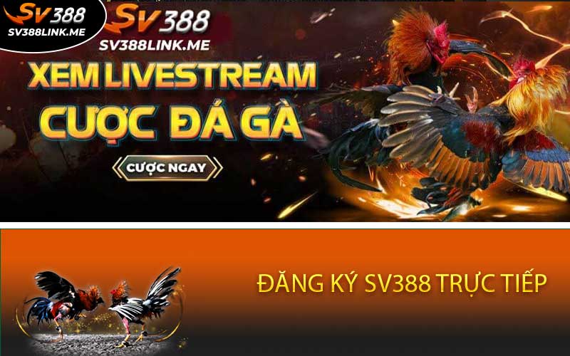 dang-ky-sv388-truc-tiep-3